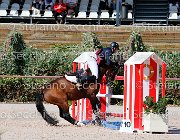 Apolloni Baby Arko GioCav2013 S5 1905 : Apolloni Gianluca, Baby Arko, Campionati Italiani Giovani Cavalli, Cattolica, ph Stefano Secchi ©